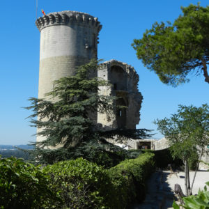 Annulation du PPRI de Châteaurenard