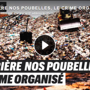 Derrière nos poubelles, le crime organisé