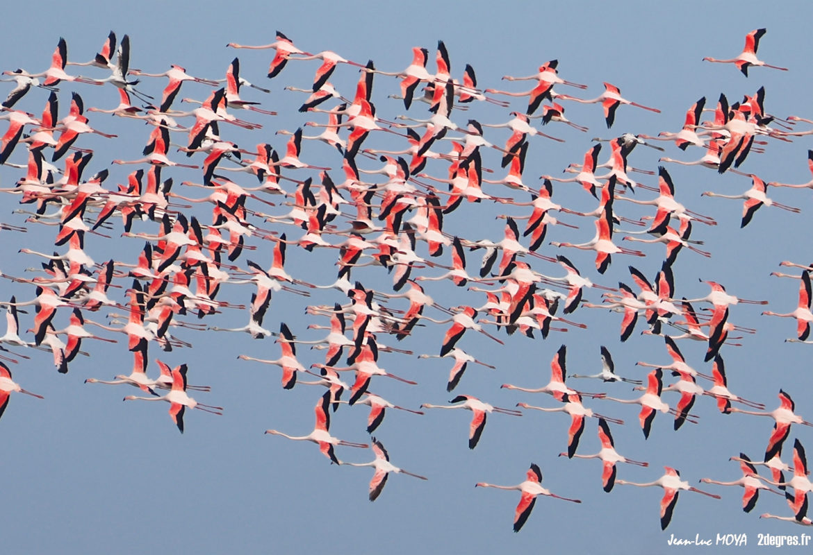 Jubilé de la Nature